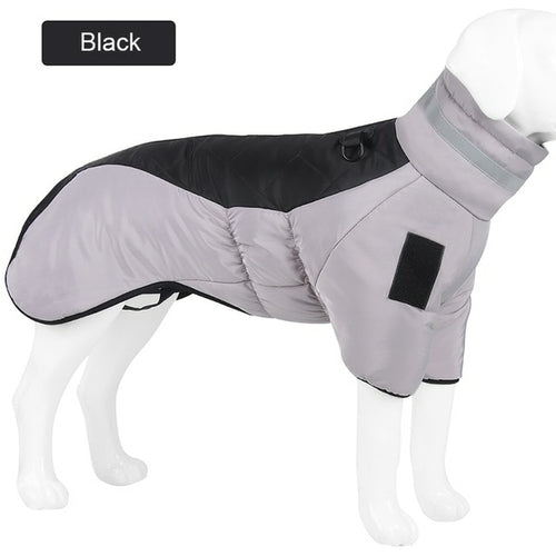Winter Dog Down Jacket