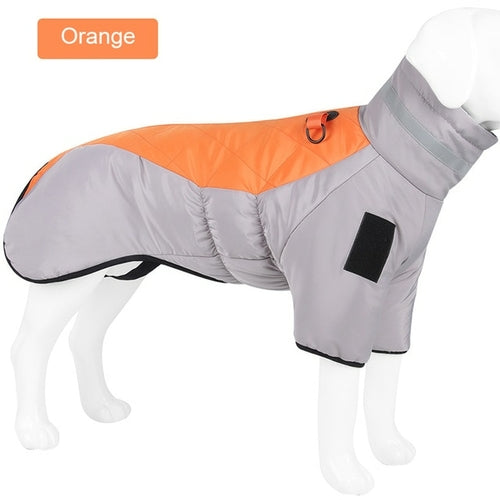 Winter Dog Down Jacket