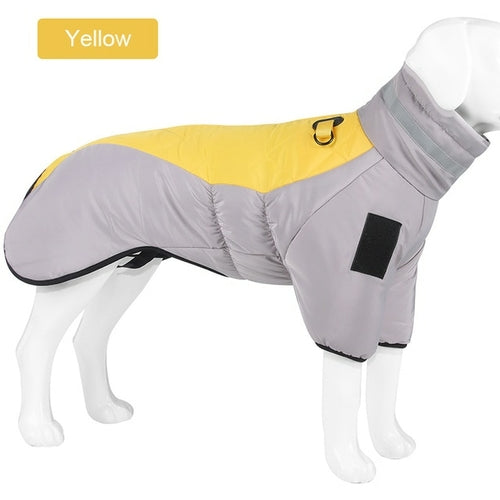 Winter Dog Down Jacket