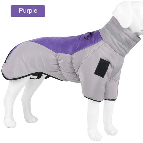 Winter Dog Down Jacket