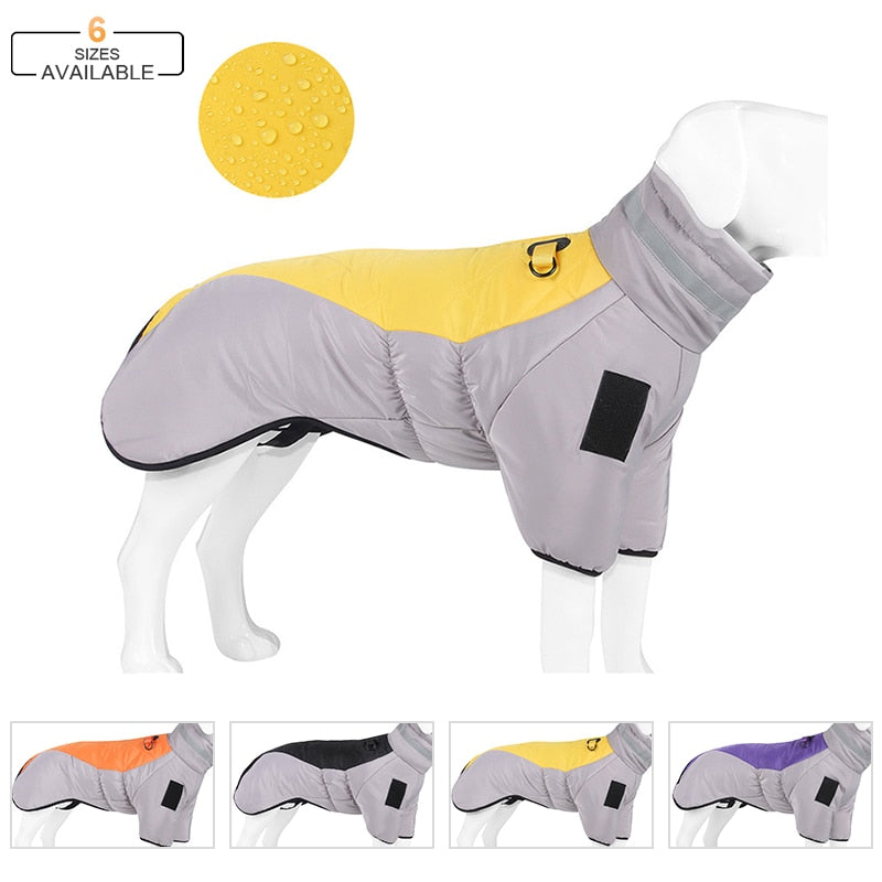 Winter Dog Down Jacket