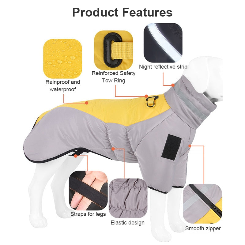 Winter Dog Down Jacket