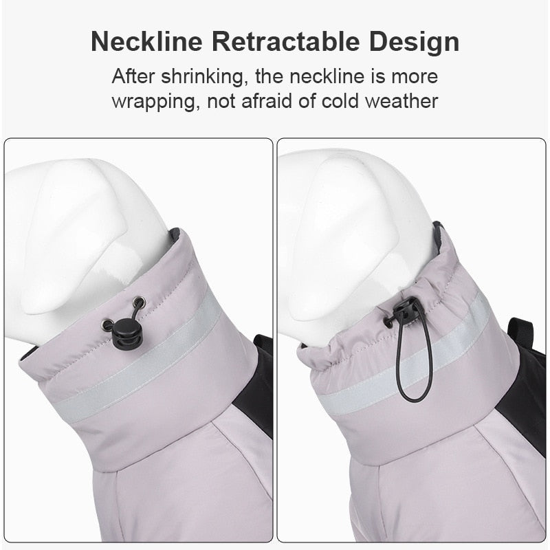 Winter Dog Down Jacket