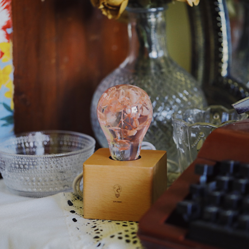 EP Light-3-Pack Flower Bulbs