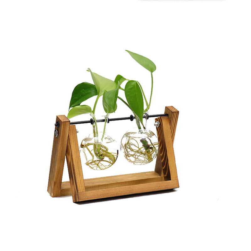 Plant Transparent Wooden Frame Vase Desktop Ornament Container