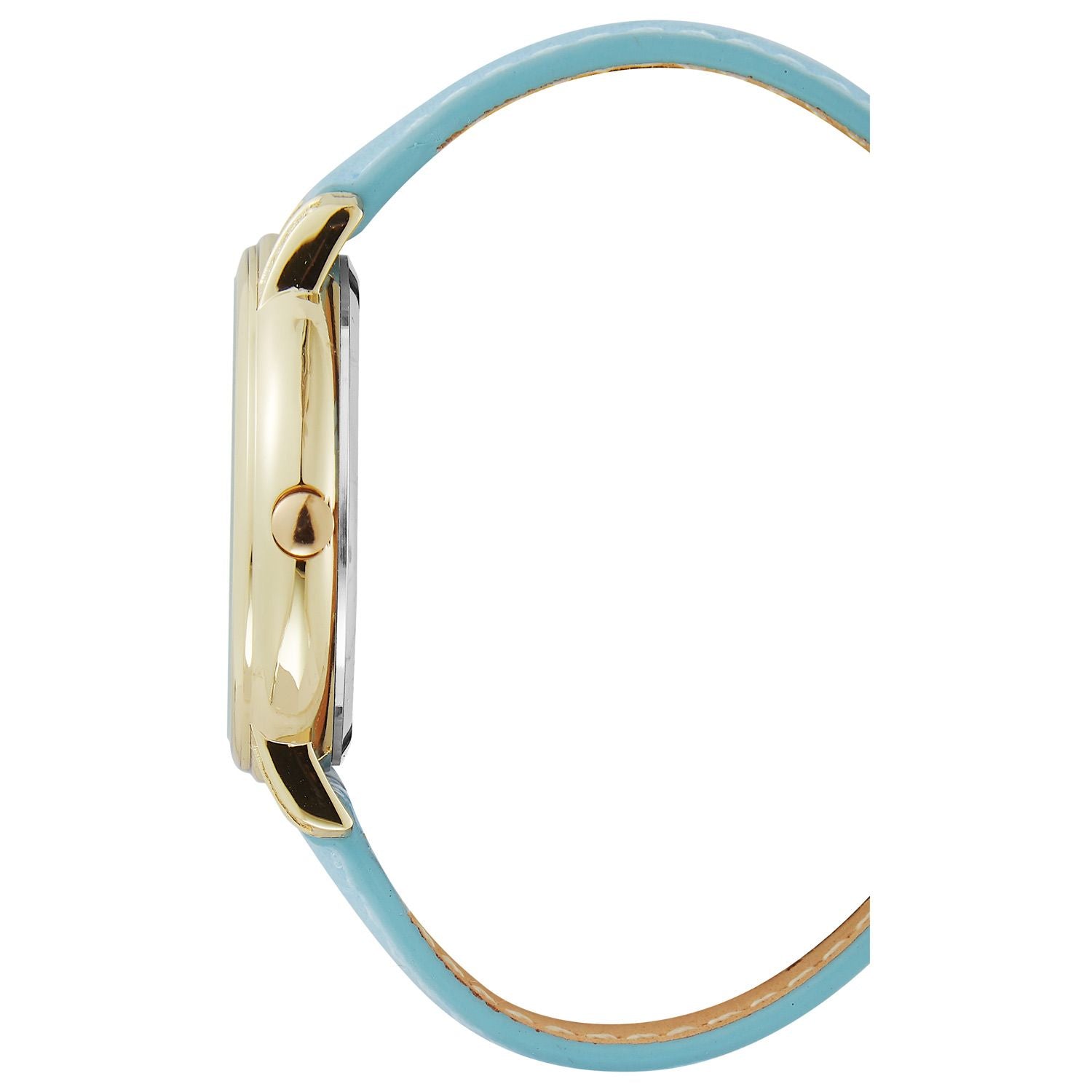 Nine West Gold and Blue Women Watch