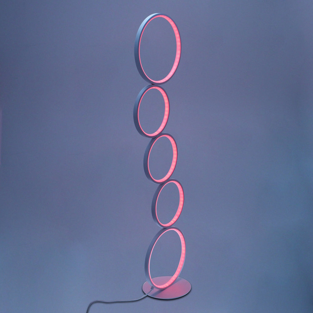 Minimalist Circular Floor Lamp